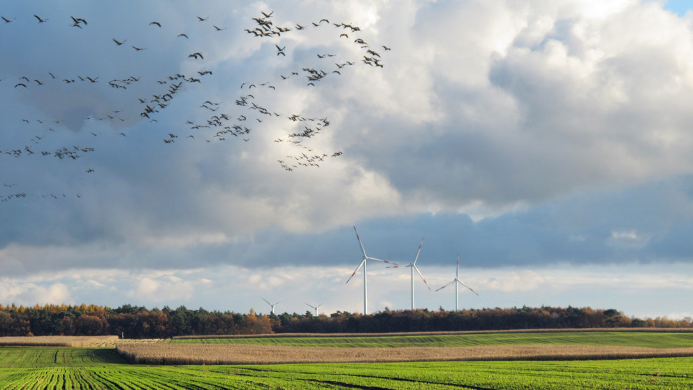 Windkraftanlagen in der Prignitz/Brandenburg